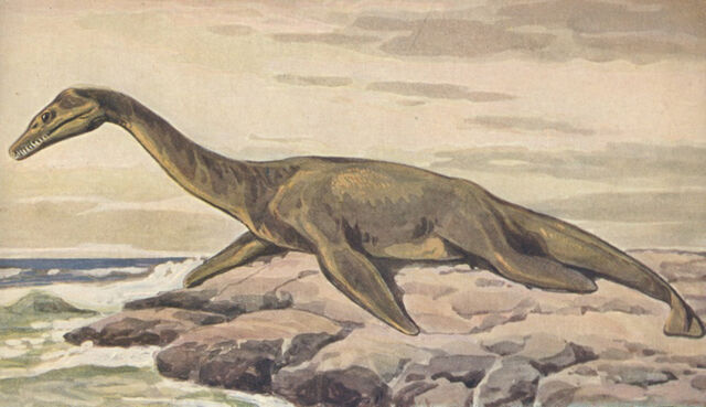 File:826 plesiosaur aquarium.jpg