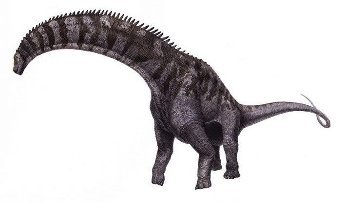 isisaurus dinosaur