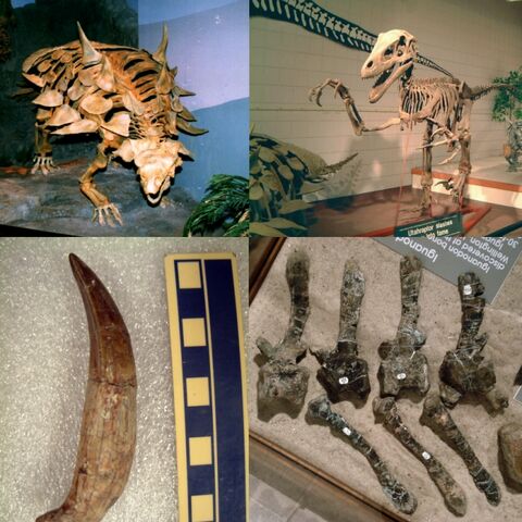 File:CMF-dinos (1).jpg