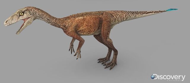 File:Eoraptor female.jpg