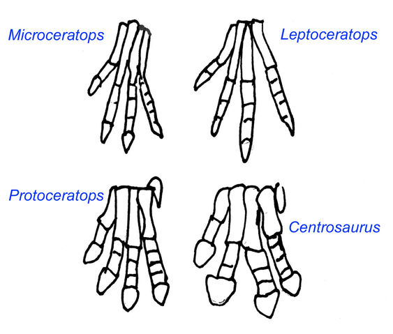 File:Image001 (1).jpg