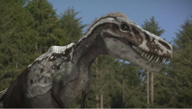 File:Nanotyrannus.jpg