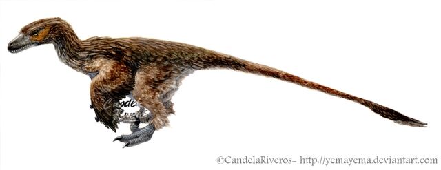 File:Dzdromaeosauruspisado by yemayema-d7qwxz5.jpg