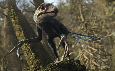 Epidexipteryx 1