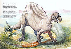 Spinosaurus Old