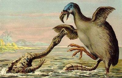 Brontornis VS Hadrosaur
