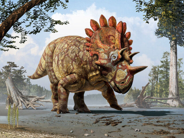 File:Regaliceratops.jpg