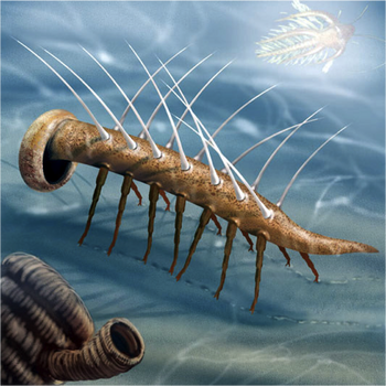 Hallucigenia1335379314742