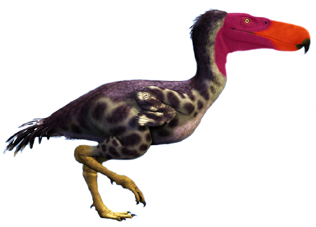 File:KelenkenInfobox.png