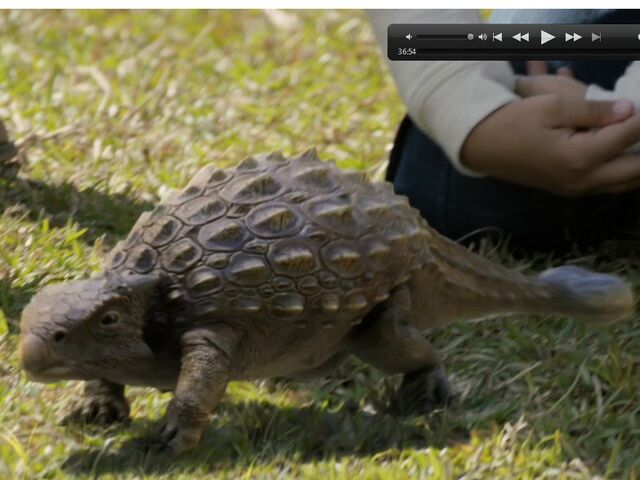 File:Hatchling Ankylosaurus.jpg