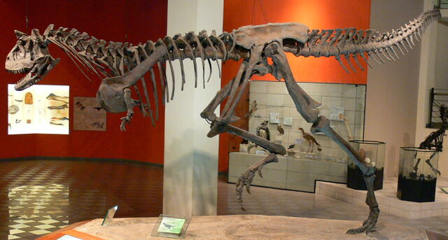 File:Dinossauromcnpucminas (1).jpg