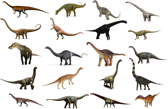 File:SauropodomorphaInfobox.png