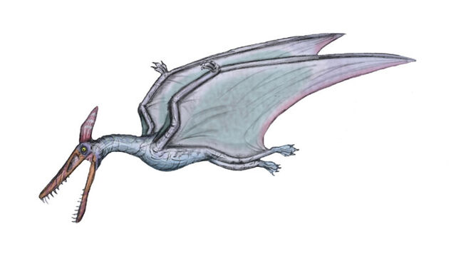 File:Ludodactylus sibbicki by maniraptora.jpg