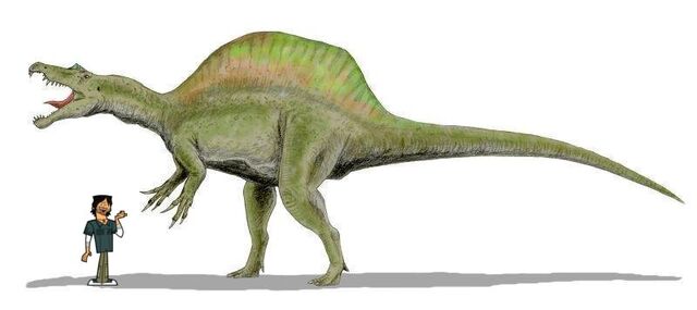 File:ChriSpinosaurus.jpg