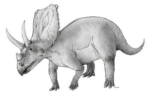 800px-Sketch chasmosaurus