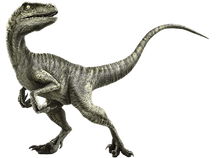 Delta Raptor