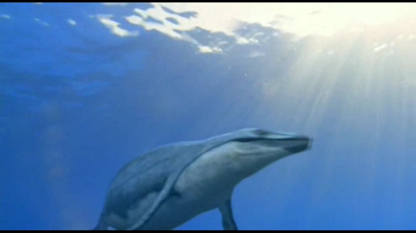 Image Basilosaurus1.png Dinopedia FANDOM powered by Wikia