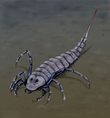 Stylonurus