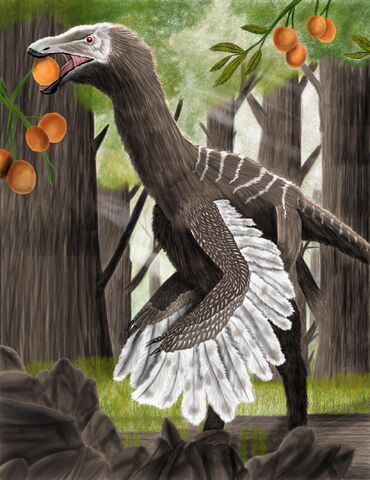 File:Gallimimus bullatus by vasix-d5qduob.jpg