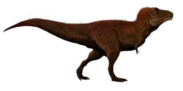 File:TyrannosuarusFeathers.jpg