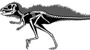 010649-pegomastax