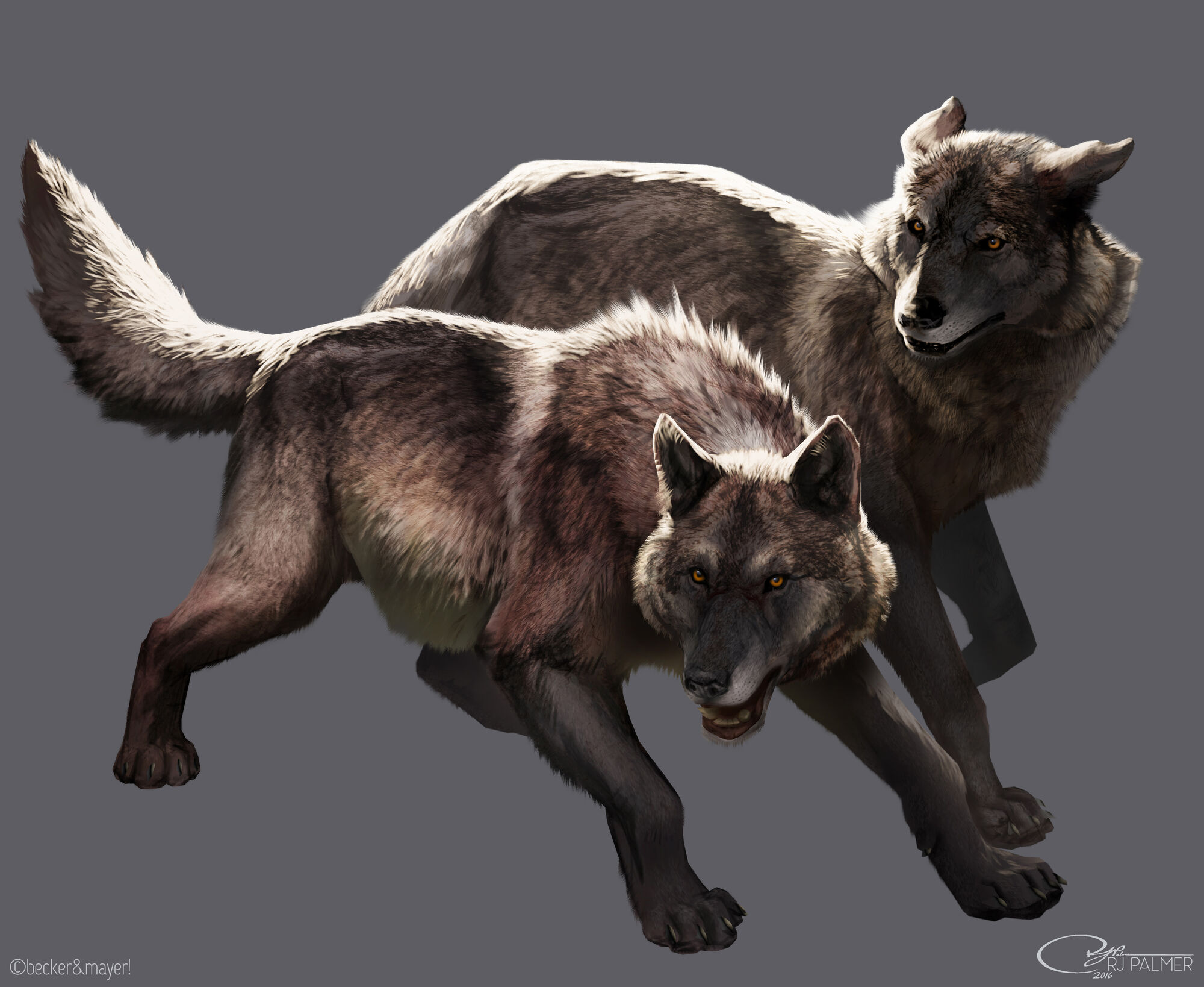 Dire wolf animal