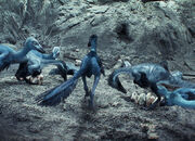 Ep4-troodon-nest-07