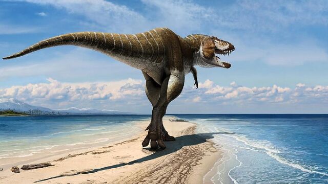 File:Lythronax-016 863d.jpg