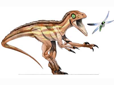 Scipionyx