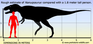 Nanuqsaurus-size