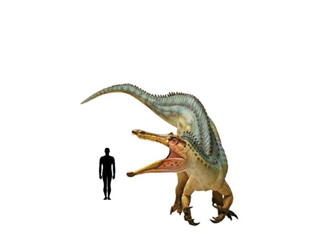 File:Image-1437960249.jpg