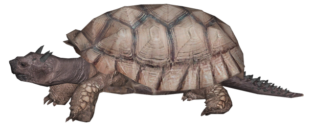 File:JUD3x0X.png