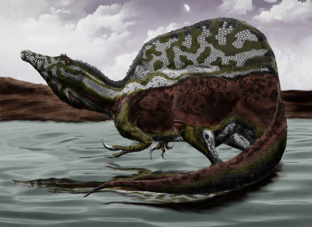 File:Spinosaurus durbed.jpg