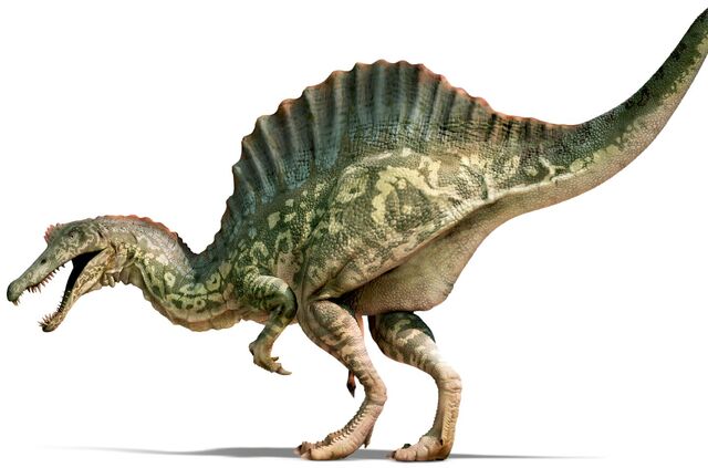 File:Spinosaurus HiRes xfswcz.jpg