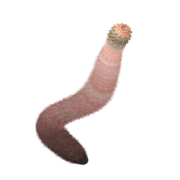 Ancalagon