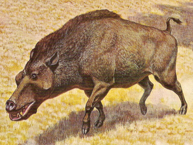 File:Jay Matternes Miocene Daeodon.jpg