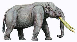 Stegomastodon