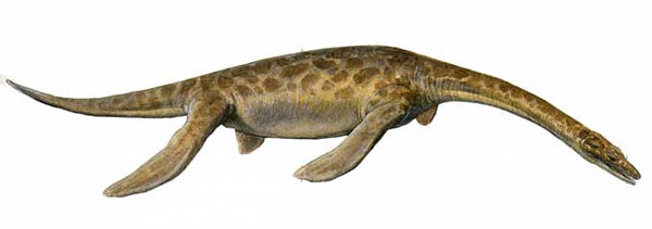 File:Pistosauru.jpg