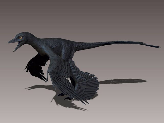 File:Microraptor black.jpeg