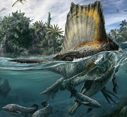 File:Spinosaurus-restoration.jpg