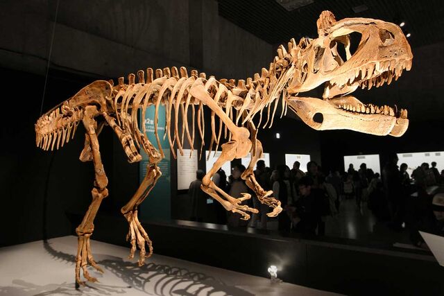 File:CryolophosaurusReconstruction.jpg