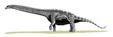 250px-Argentinosaurus BW