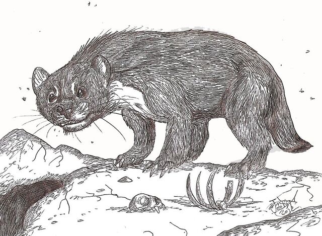 File:Megalictis by hodarinundu-d52eqrr.jpg