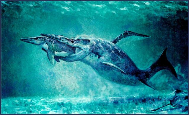 File:HalisaurusNew.jpg