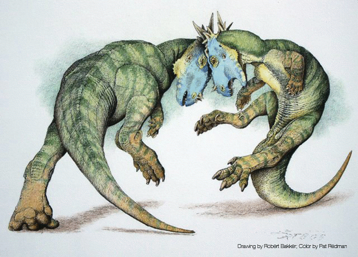 dracorex and stygimoloch