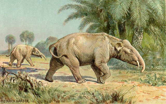 File:PalaeomastodonIllustration.jpg