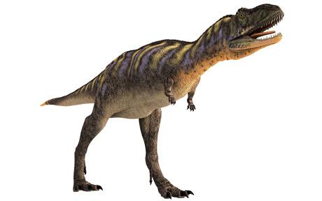 File:Dinosaur 1622654c.jpg