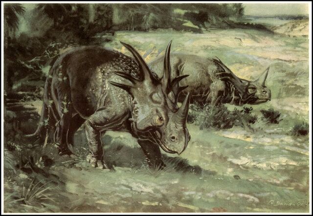 File:34 prean Burian styracosaurus.jpg