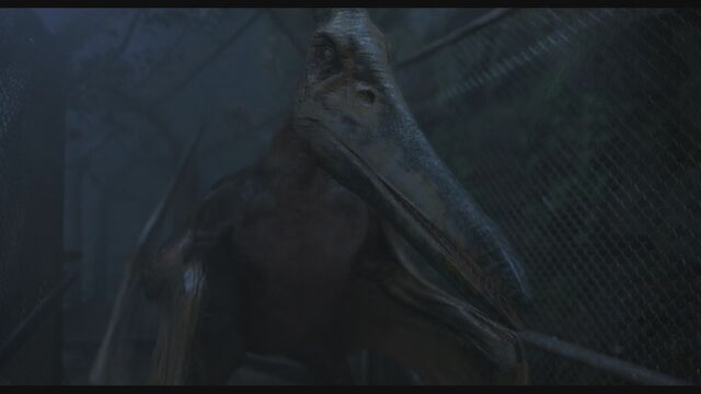 File:Pteranodon-1.jpg