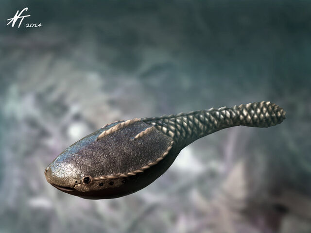 File:Astraspis by ntamura-d7fbwct.jpg
